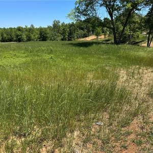 Photo #3 of US Highway 601, Mocksville, NC 14.7 acres