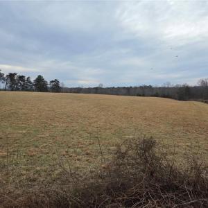Photo #3 of NC Highway 89, Westfield, NC 15.7 acres