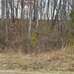 Photo #9 of NC Highway 89, Westfield, NC 15.7 acres