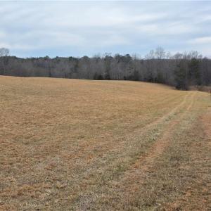 Photo #4 of NC Highway 89, Westfield, NC 15.7 acres
