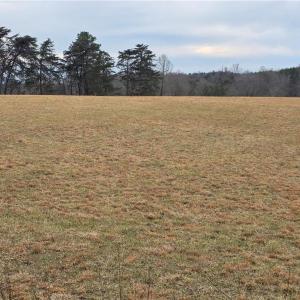 Photo #6 of NC Highway 89, Westfield, NC 15.7 acres