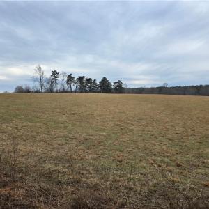 Photo #5 of NC Highway 89, Westfield, NC 15.7 acres