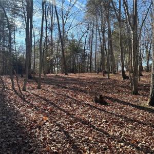 Photo #1 of Price, Eden, NC 1.7 acres