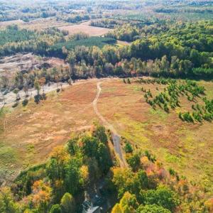 Photo #5 of 2008 Neelley, Pleasant Garden, NC 45.5 acres