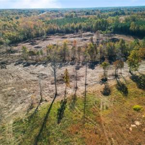 Photo #14 of 2008 Neelley, Pleasant Garden, NC 45.5 acres