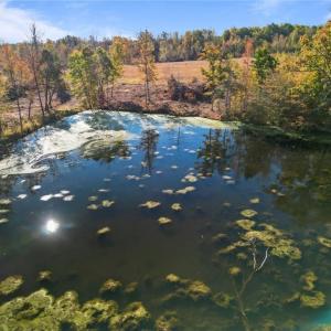 Photo #15 of 2008 Neelley, Pleasant Garden, NC 45.5 acres