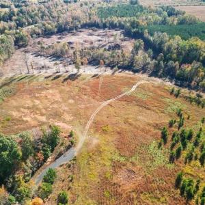 Photo #4 of 2008 Neelley, Pleasant Garden, NC 45.5 acres