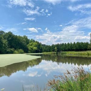 Photo #2 of 2008 Neelley, Pleasant Garden, NC 45.5 acres