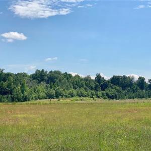 Photo #3 of 2008 Neelley, Pleasant Garden, NC 45.5 acres