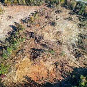 Photo #8 of 2008 Neelley, Pleasant Garden, NC 45.5 acres