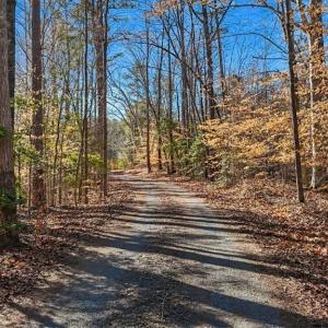 Photo #6 of 3567 Tot Hill Farm, Asheboro, NC 94.7 acres