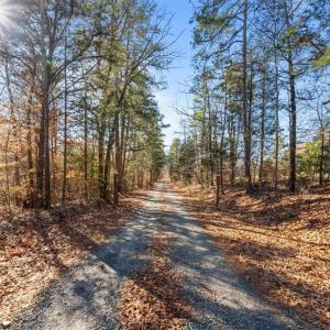 Photo #5 of 3567 Tot Hill Farm, Asheboro, NC 94.7 acres