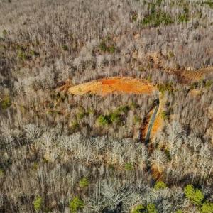 Photo #5 of Tot Hill Farm, Asheboro, NC 16.0 acres