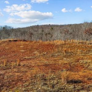 Photo #9 of Tot Hill Farm, Asheboro, NC 16.0 acres