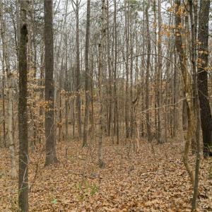 Photo #23 of Seay, Advance, NC 1.2 acres