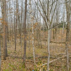 Photo #27 of Seay, Advance, NC 1.2 acres