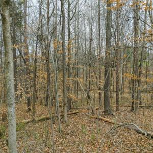 Photo #24 of Seay, Advance, NC 1.2 acres