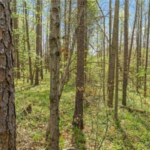 Photo #25 of Seay, Advance, NC 1.2 acres