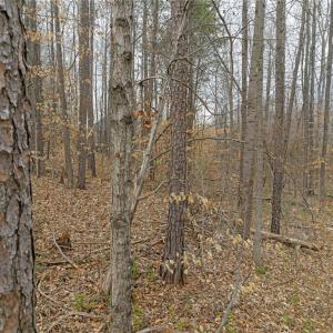 Photo #21 of Seay, Advance, NC 0.8 acres