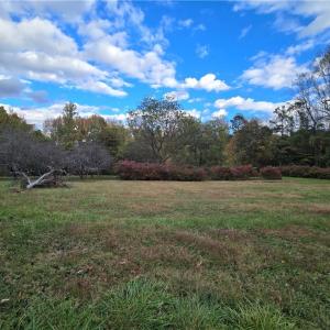 Photo #4 of Spanish Oak, Elon, NC 2.6 acres
