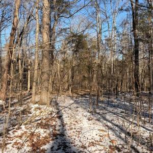 Photo #4 of Stokes Ferry, Gold Hill, NC 16.3 acres