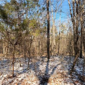 Photo #2 of Stokes Ferry, Gold Hill, NC 16.3 acres