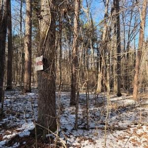 Photo #3 of Stokes Ferry, Gold Hill, NC 16.3 acres