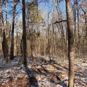 Photo #5 of Stokes Ferry, Gold Hill, NC 16.3 acres