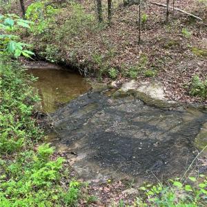 Photo #3 of Sheets, Germanton, NC 26.8 acres