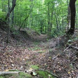 Photo #27 of Sheets, Germanton, NC 26.8 acres