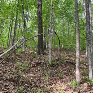 Photo #2 of Sheets, Germanton, NC 26.8 acres