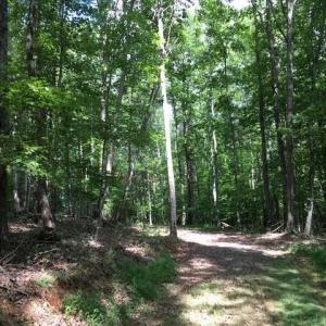 Photo #17 of Sheets, Germanton, NC 26.8 acres