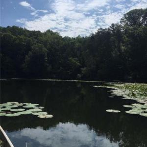 Photo #28 of Sheets, Germanton, NC 26.8 acres