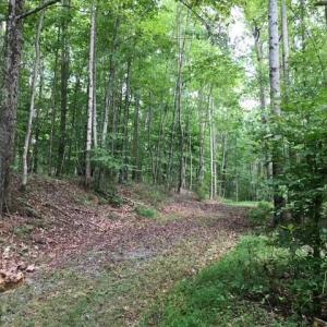 Photo #20 of Sheets, Germanton, NC 26.8 acres