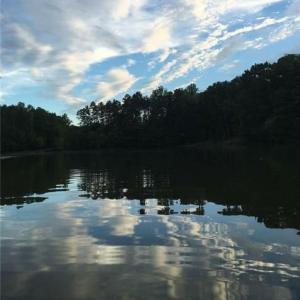 Photo #30 of Sheets, Germanton, NC 26.8 acres