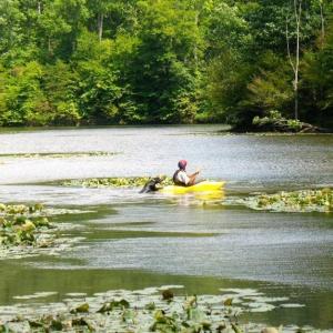 Photo #34 of Sheets, Germanton, NC 26.8 acres