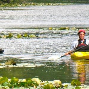 Photo #33 of Sheets, Germanton, NC 26.8 acres