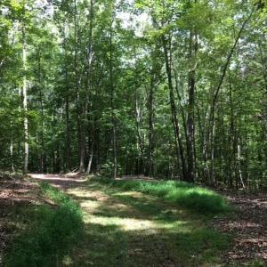 Photo #19 of Sheets, Germanton, NC 26.8 acres