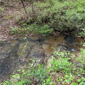 Photo #4 of Sheets, Germanton, NC 26.8 acres