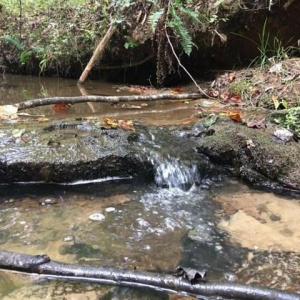 Photo #25 of Sheets, Germanton, NC 26.8 acres