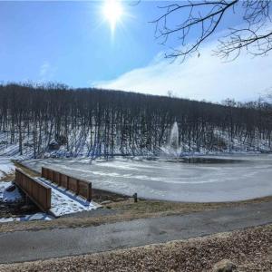 Photo #6 of 439 Boulder Ridge, Denton, NC 1.7 acres