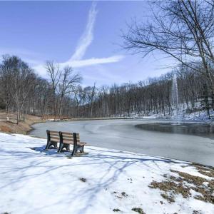 Photo #7 of 439 Boulder Ridge, Denton, NC 1.7 acres