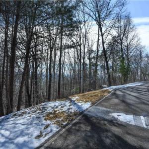 Street View-439 Boulder Ridge on Left Side