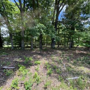 Photo #22 of King, King, NC 17.5 acres