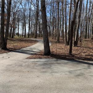 Photo #32 of King, King, NC 17.5 acres