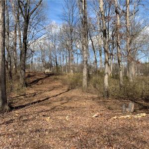 Photo #38 of King, King, NC 17.5 acres