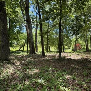 Photo #14 of King, King, NC 17.5 acres