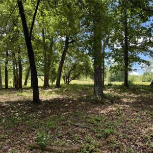 Photo #15 of King, King, NC 17.5 acres