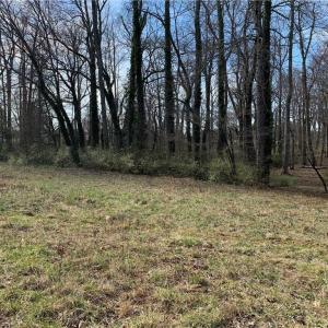 Photo #30 of King, King, NC 17.5 acres