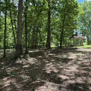Photo #18 of King, King, NC 17.5 acres